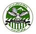 乔卡塔利什
